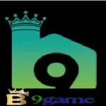B9 Game APK
