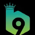 B9 Game APP